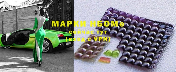 индика Аркадак